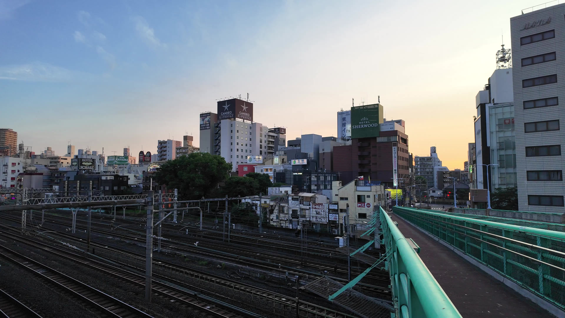 2. 台東区の住宅密集地の特徴